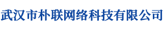 武汉市朴联网络科技有限公司